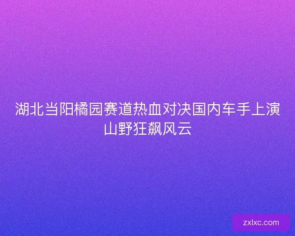 湖北当阳橘园赛道热血对决国内车手上演山野狂飙风云